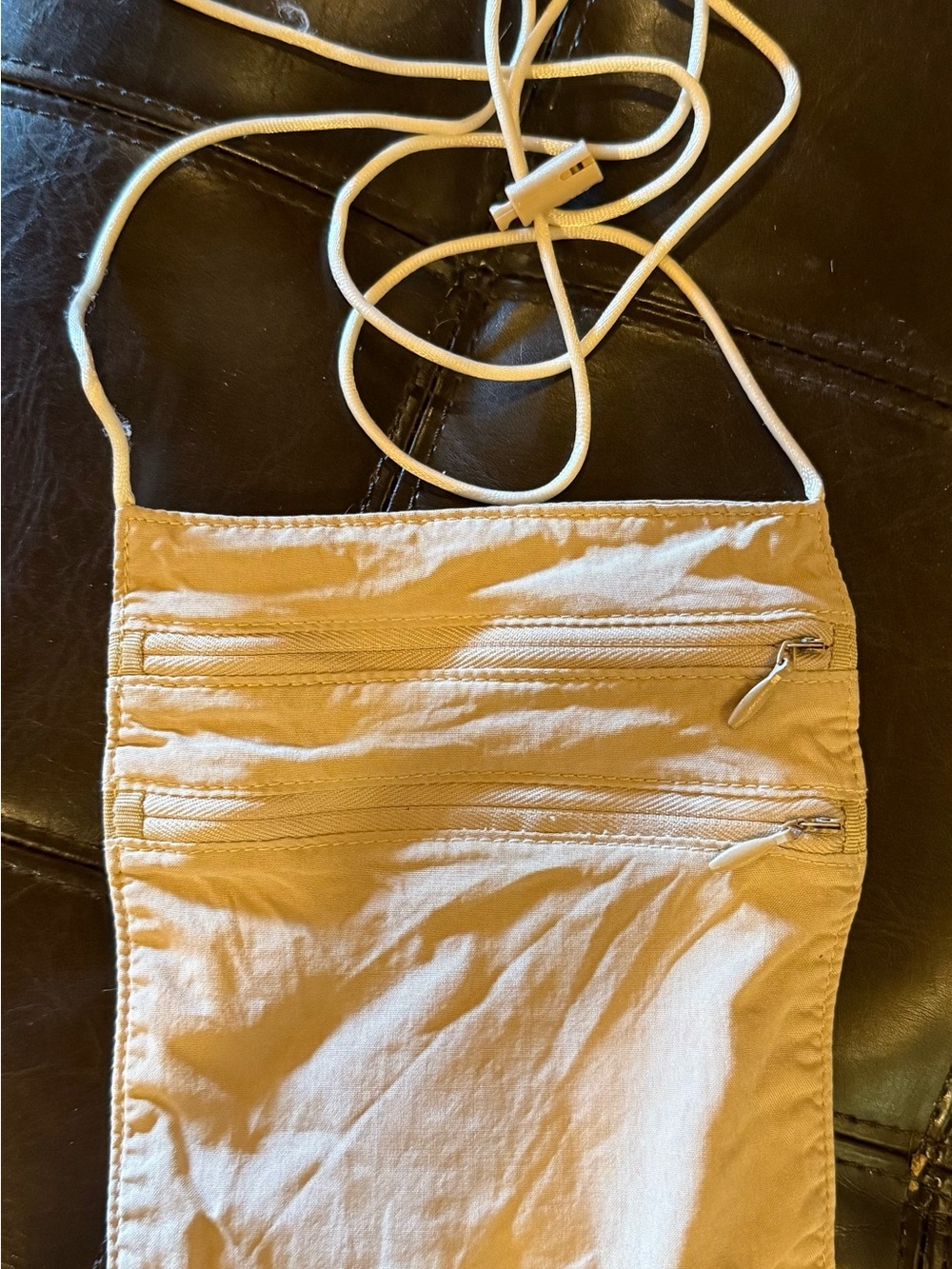 Eagle Creek Neck Travel Wallet